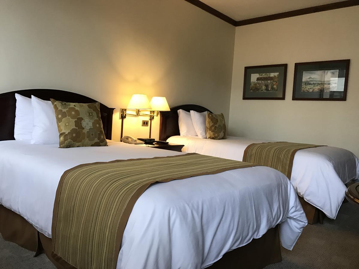 Socialtel Quito Hotel Eksteriør billede