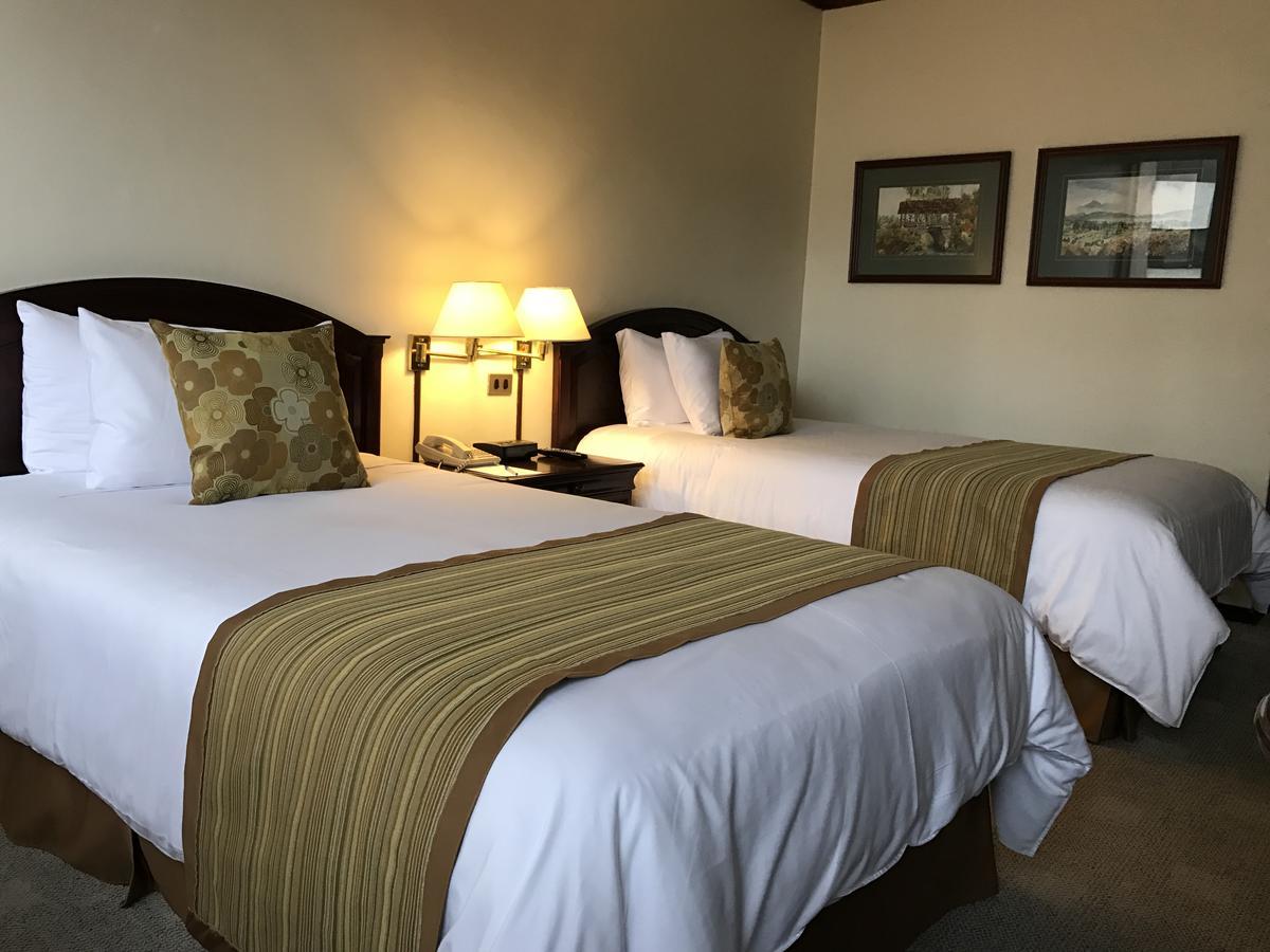 Socialtel Quito Hotel Eksteriør billede